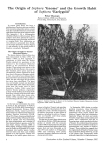 Checklist of Sophora cultivars.
